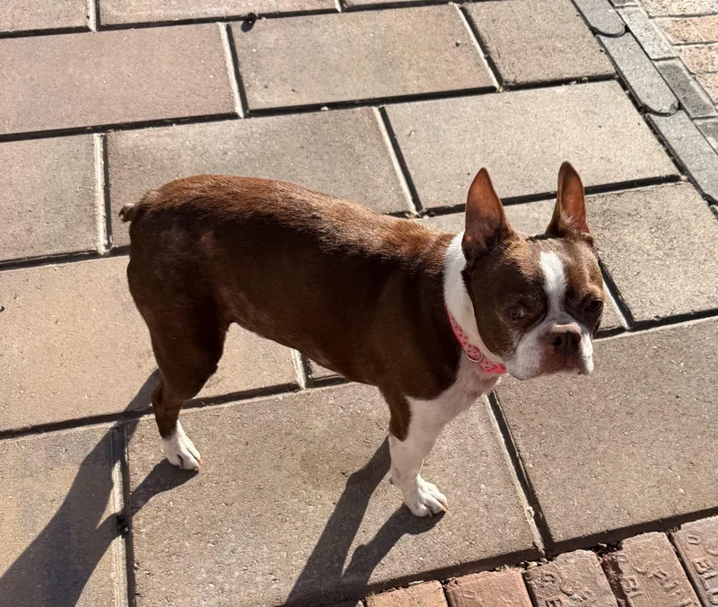 Murphy In Ia thumbnail 3