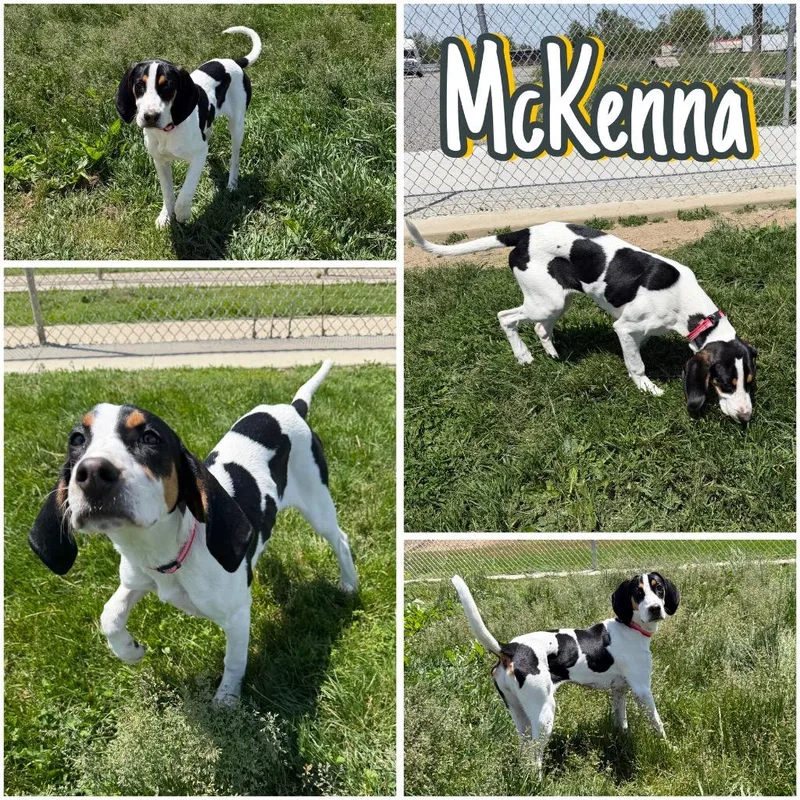Mckenna thumbnail 4