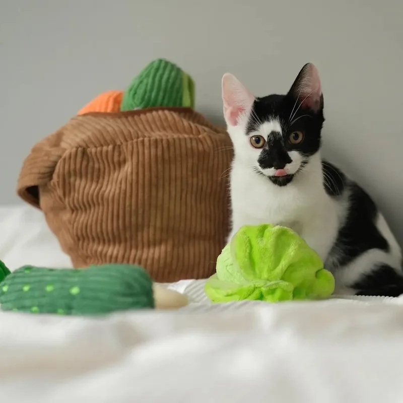 Kale and Spinach thumbnail 3