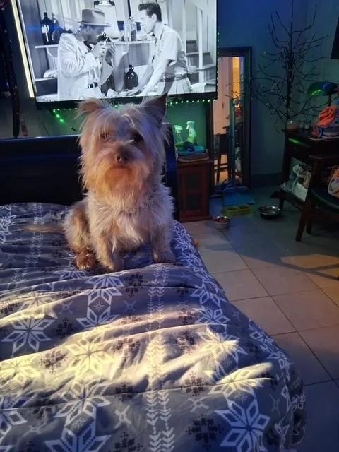Bailey