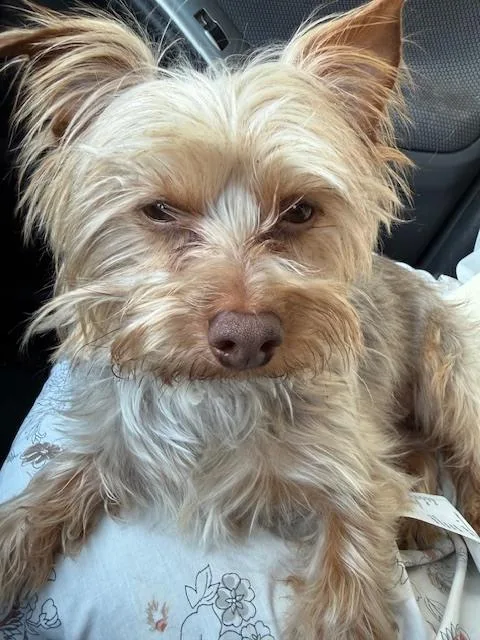 Bailey thumbnail 3
