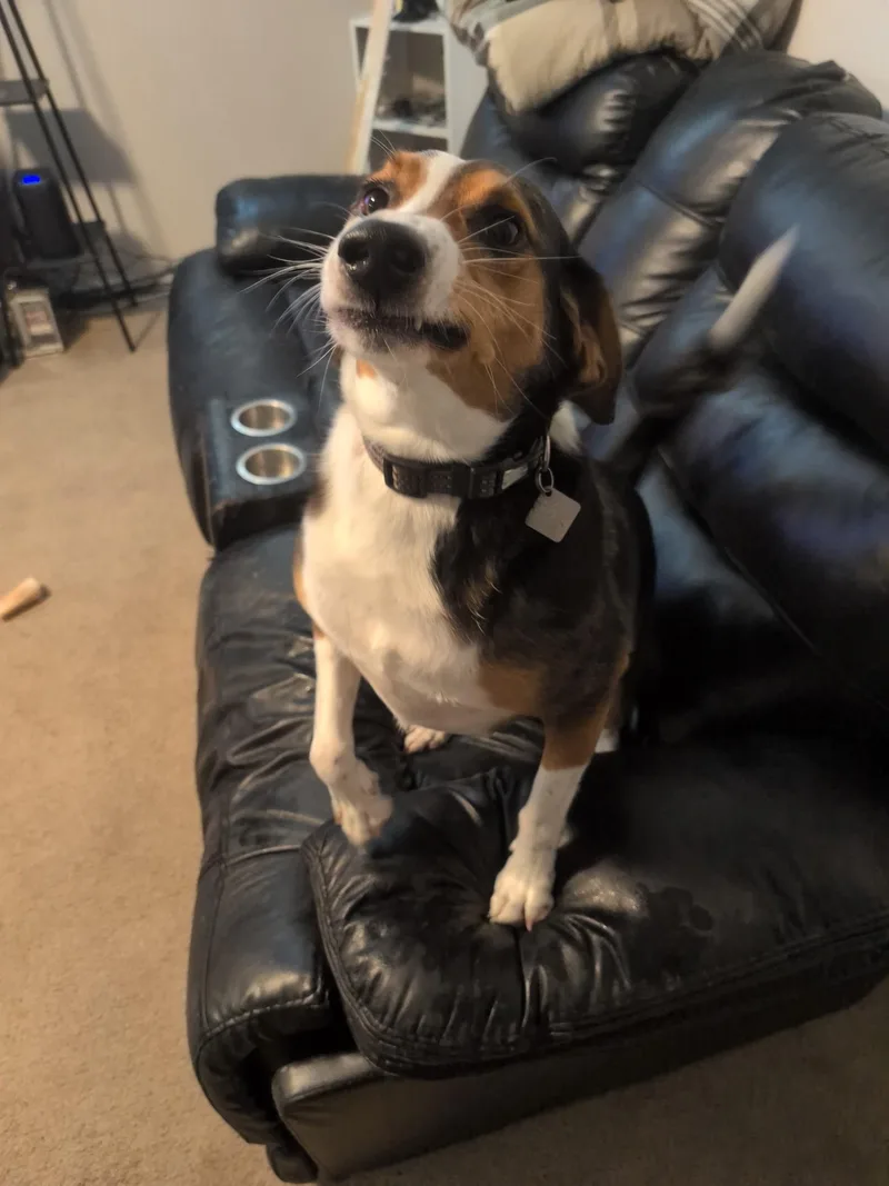 Rusty Courtesy Listing