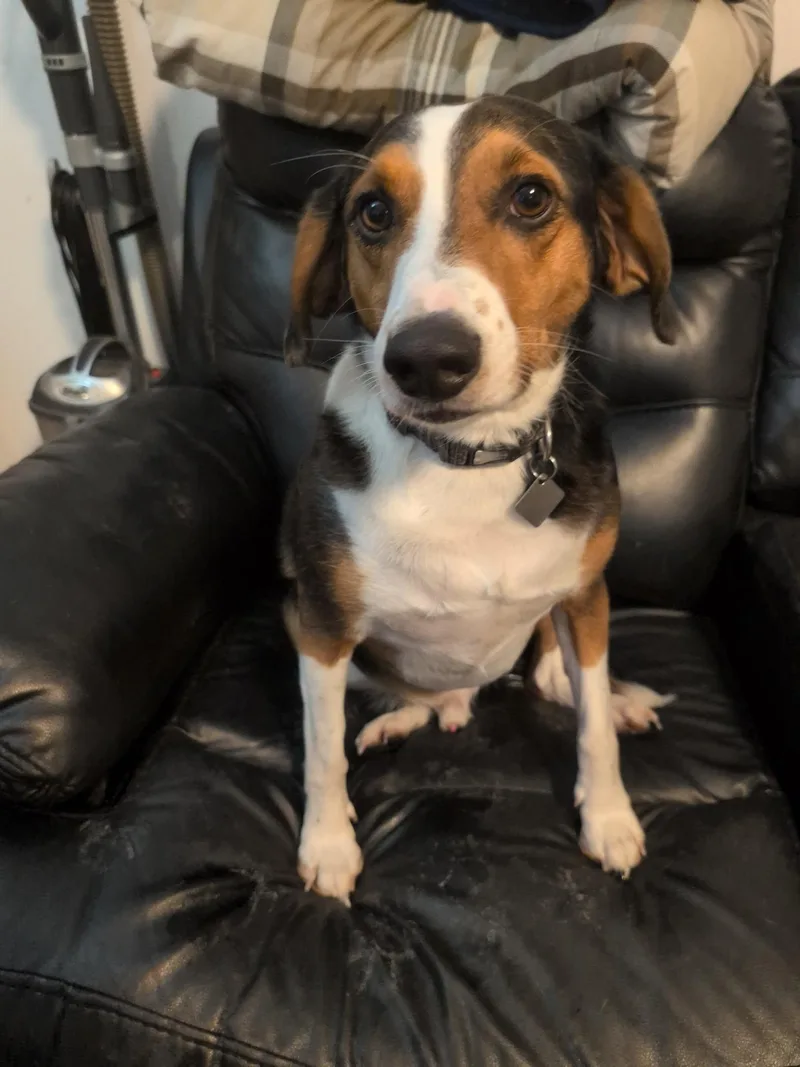 Rusty  Courtesy Listing thumbnail 2