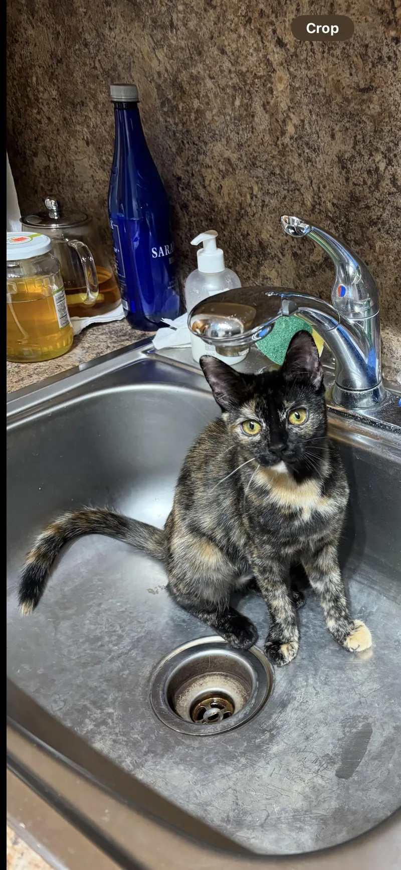 Sweet Duo thumbnail 5