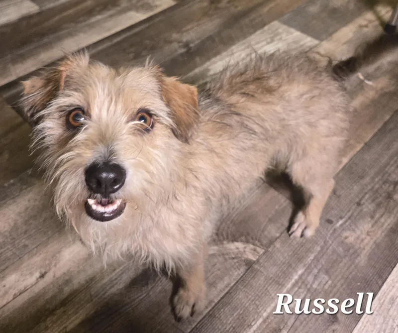 Russell