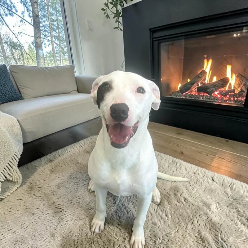 Roulette thumbnail 2