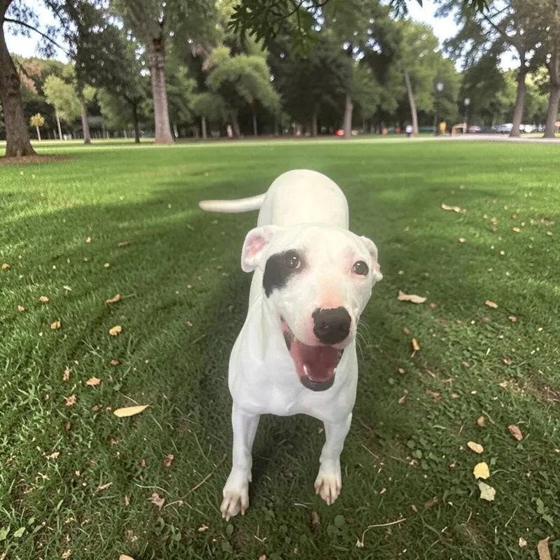 Roulette thumbnail 5