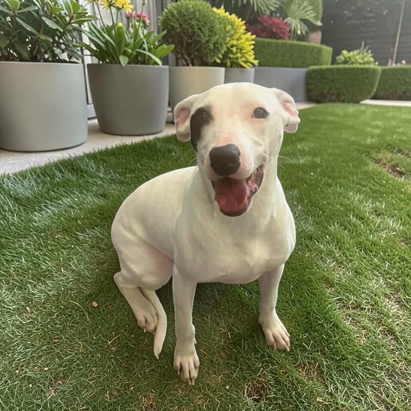 Roulette thumbnail 6