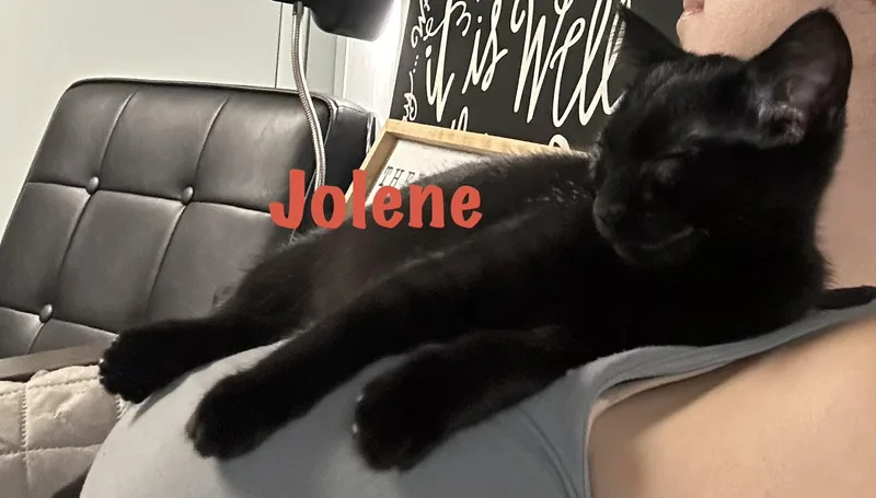 Jolene thumbnail 3