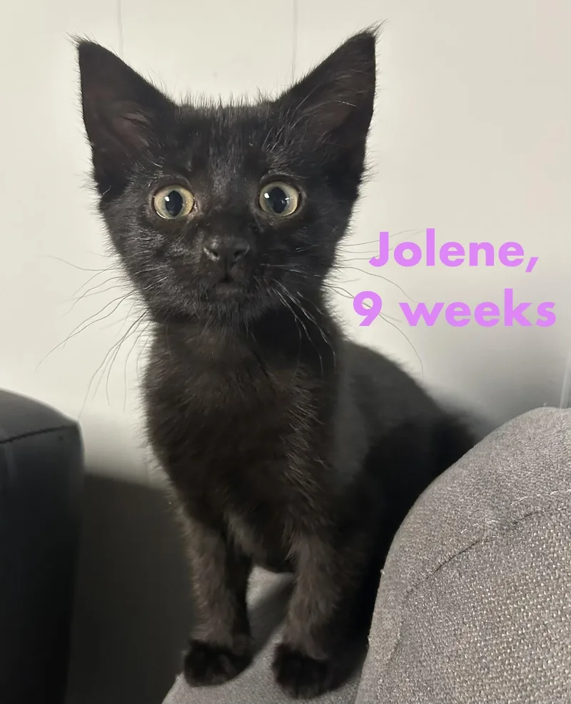 Jolene thumbnail 4
