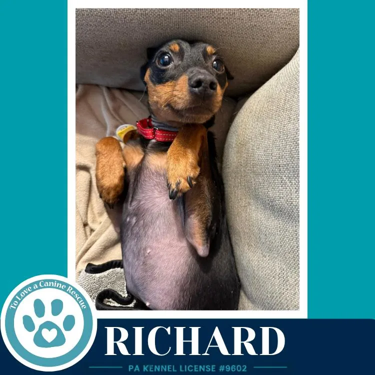 Richard thumbnail 2