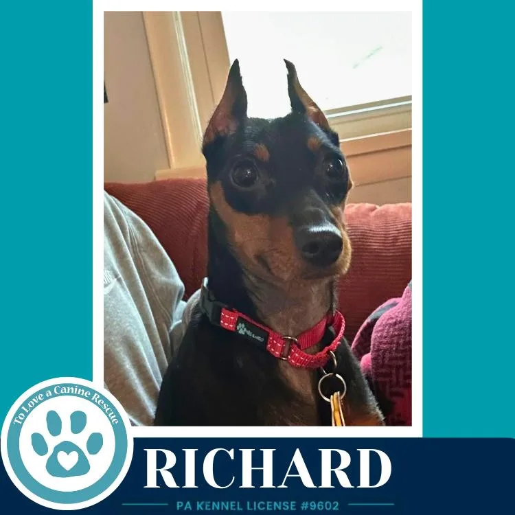 Richard thumbnail 3
