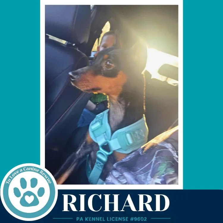 Richard thumbnail 4