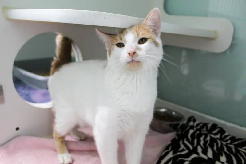 Mohatu thumbnail 6