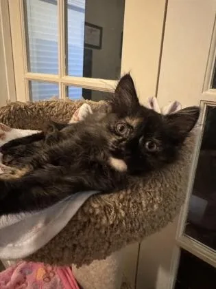 Cat Benatar thumbnail 2