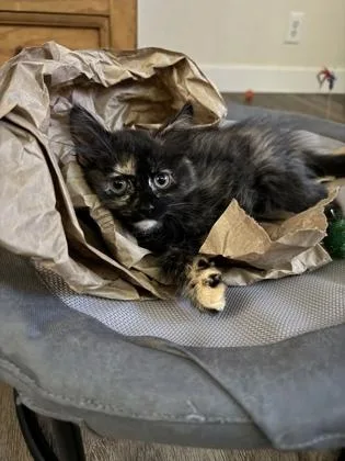 Cat Benatar thumbnail 3