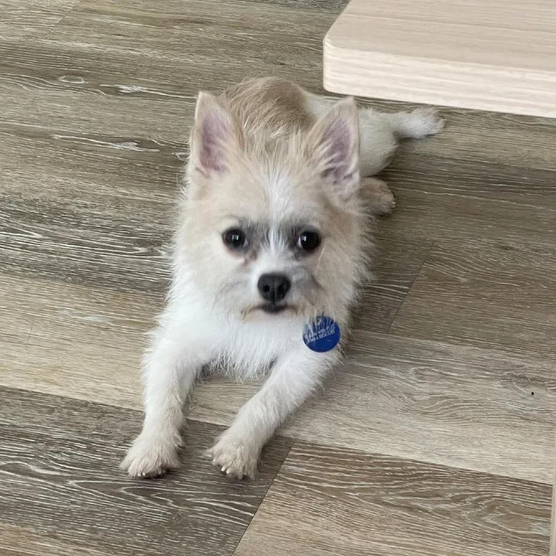 Marley