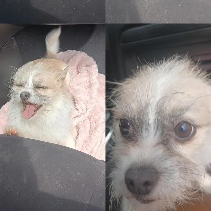 Marley thumbnail 3