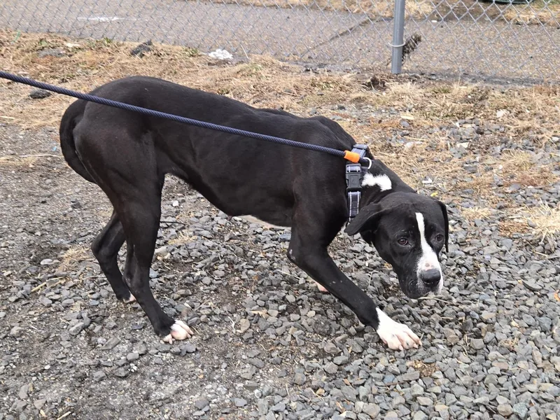 Illinois thumbnail 2