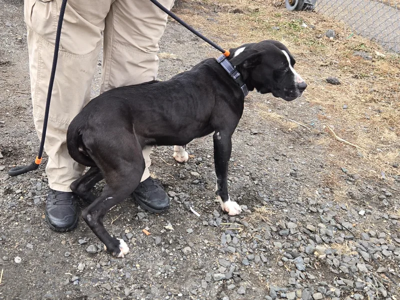 Illinois thumbnail 3