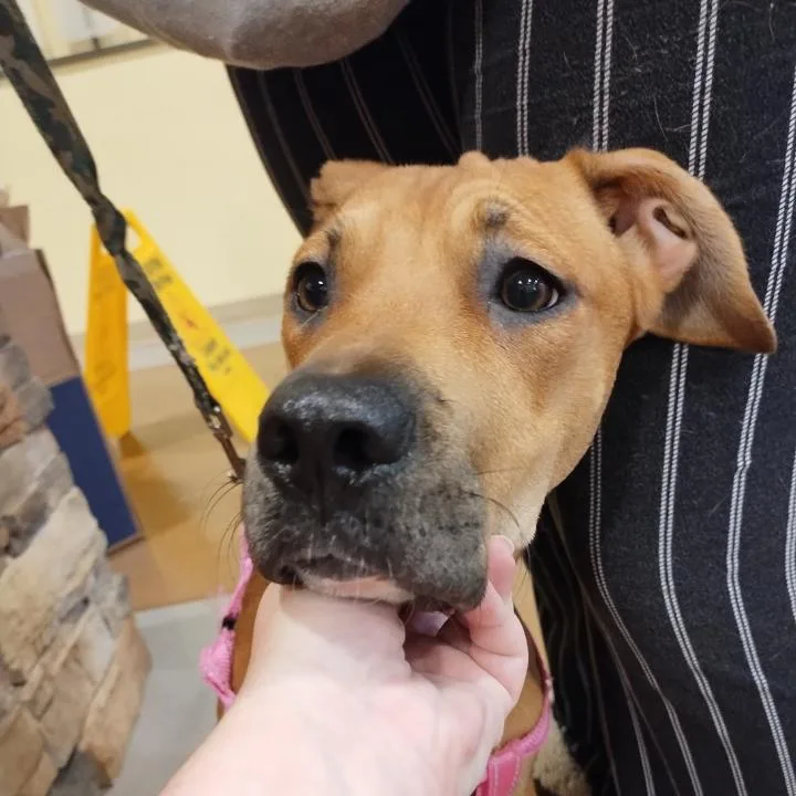 Izzy Girl thumbnail 3