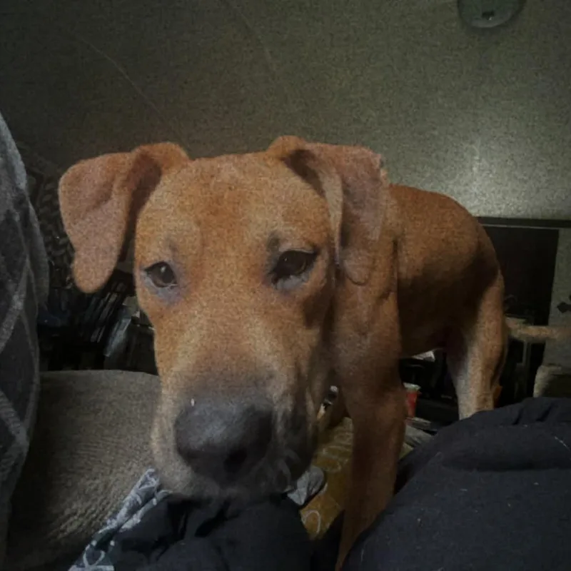 Izzy Girl thumbnail 4