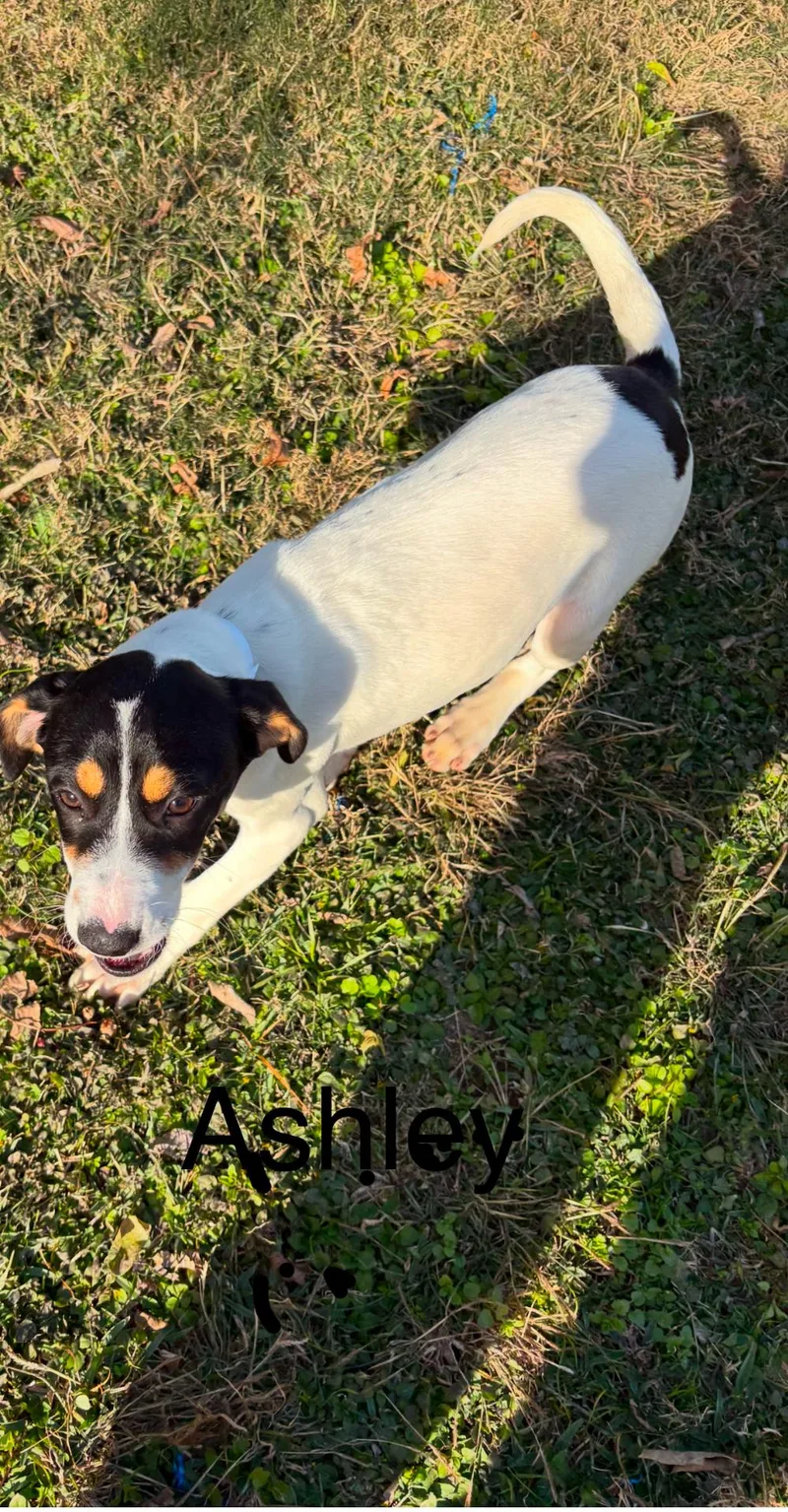 Ashley thumbnail 2