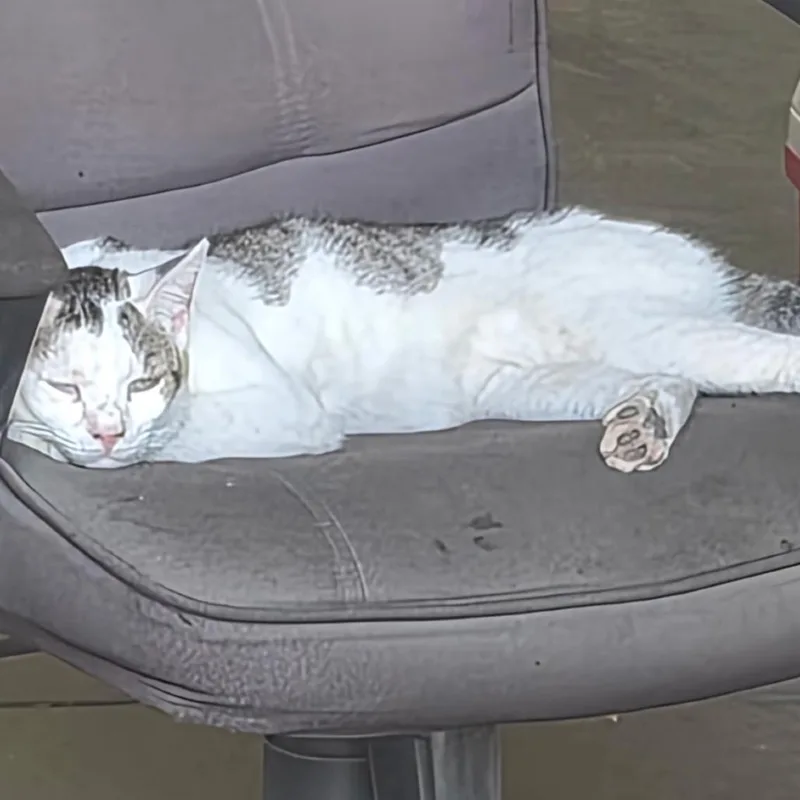 Theo Jones Jo thumbnail 2