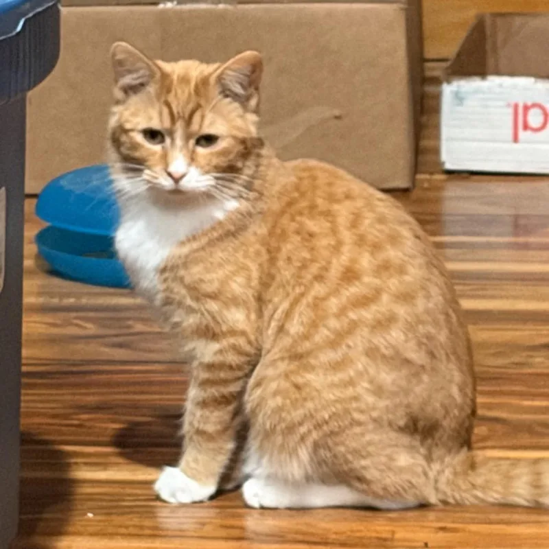 Sherburt thumbnail 2