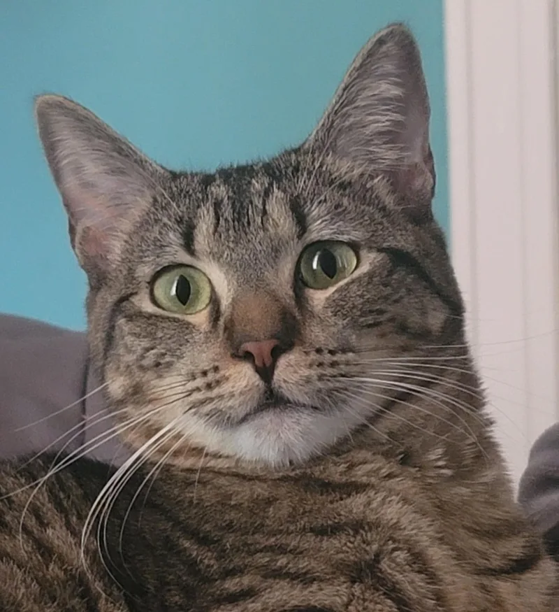 Marty   Loves thumbnail 2