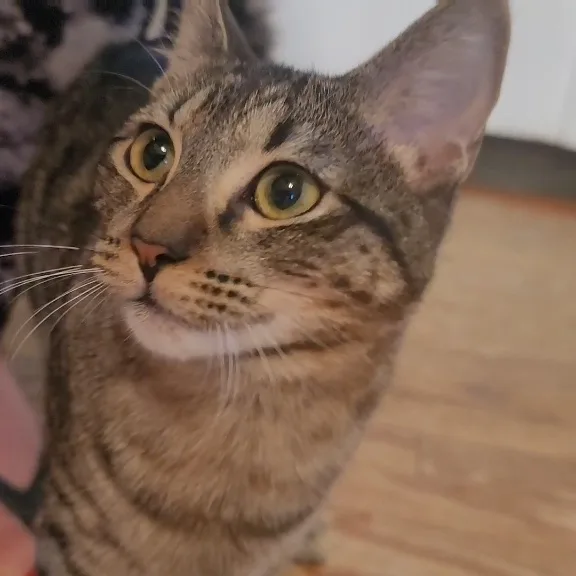 Marty   Loves thumbnail 3