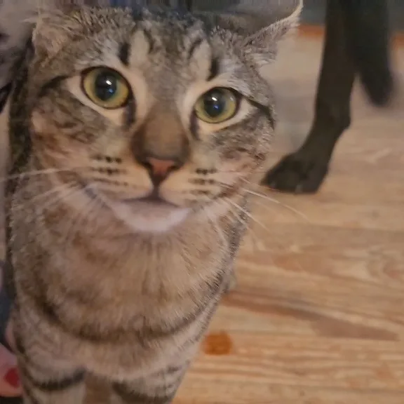 Marty   Loves thumbnail 4
