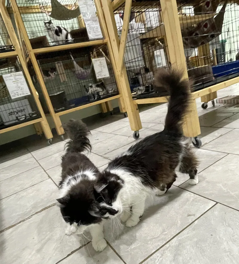 Alastair & Abram Bonded