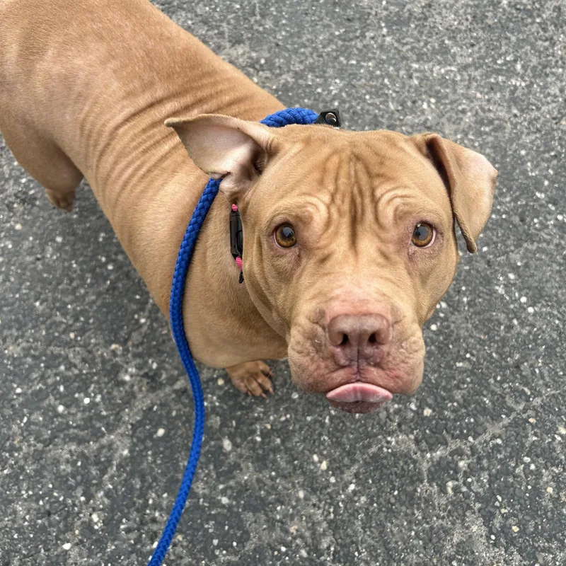 Martha Maye thumbnail 2