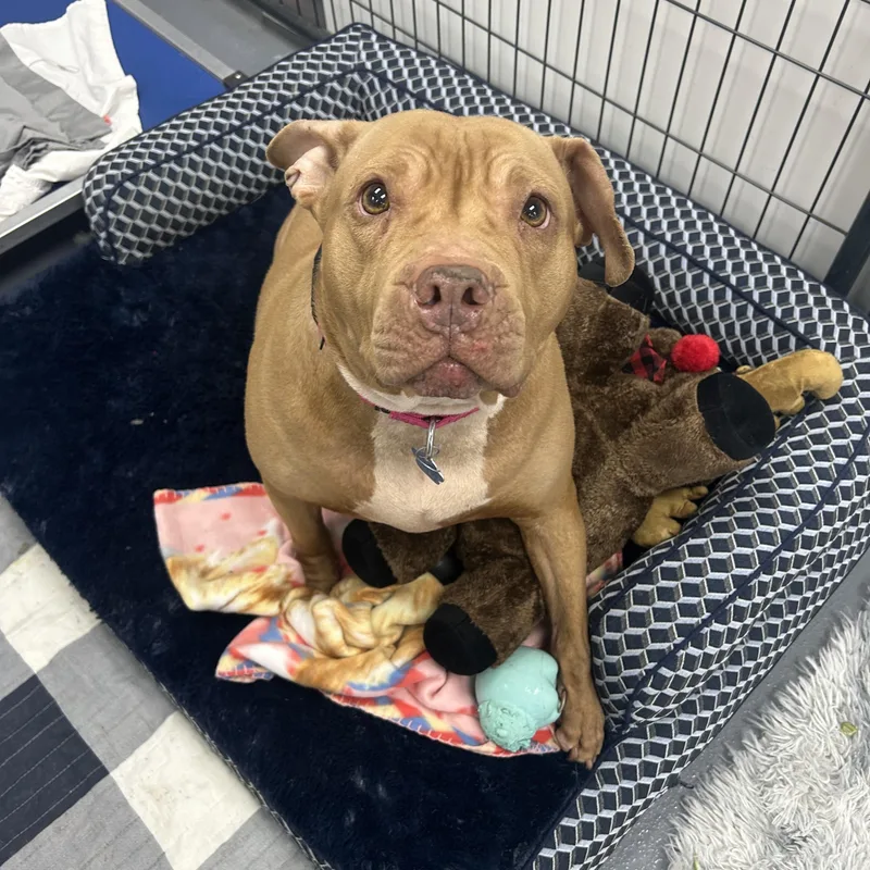 Martha Maye thumbnail 3