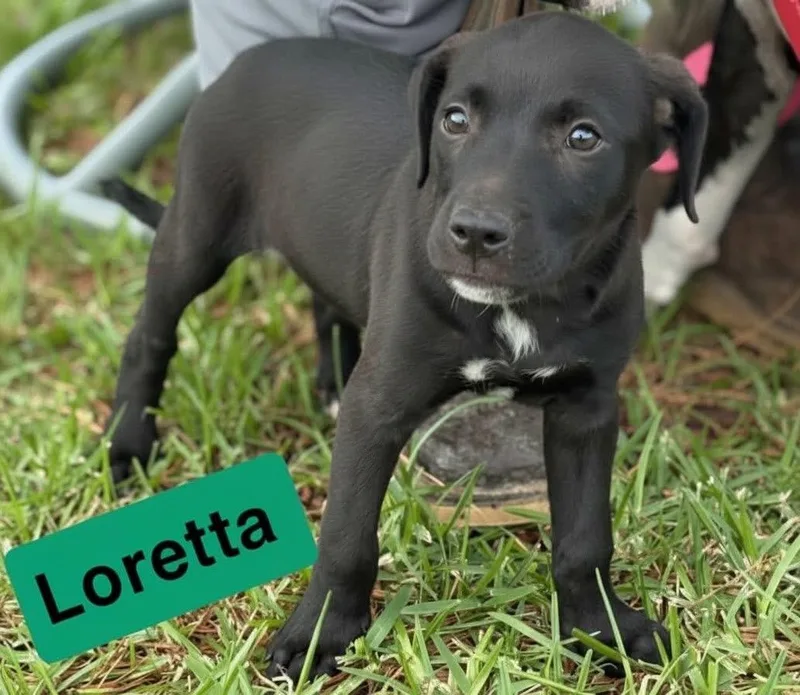 Loretta