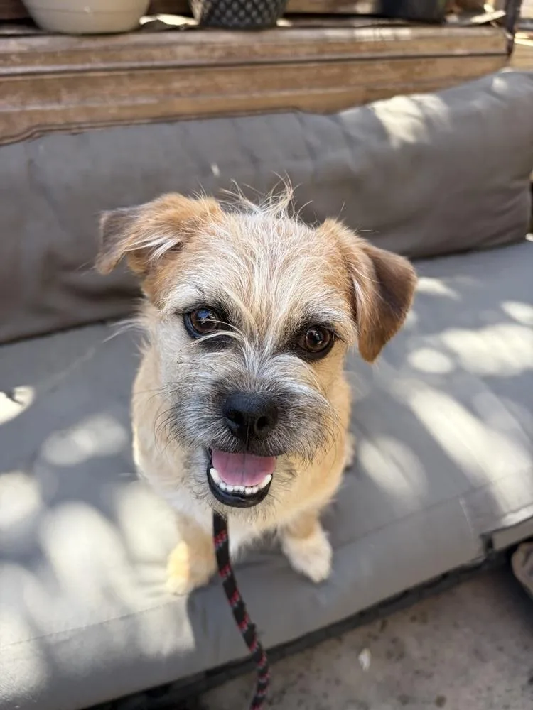 Monterey thumbnail 2