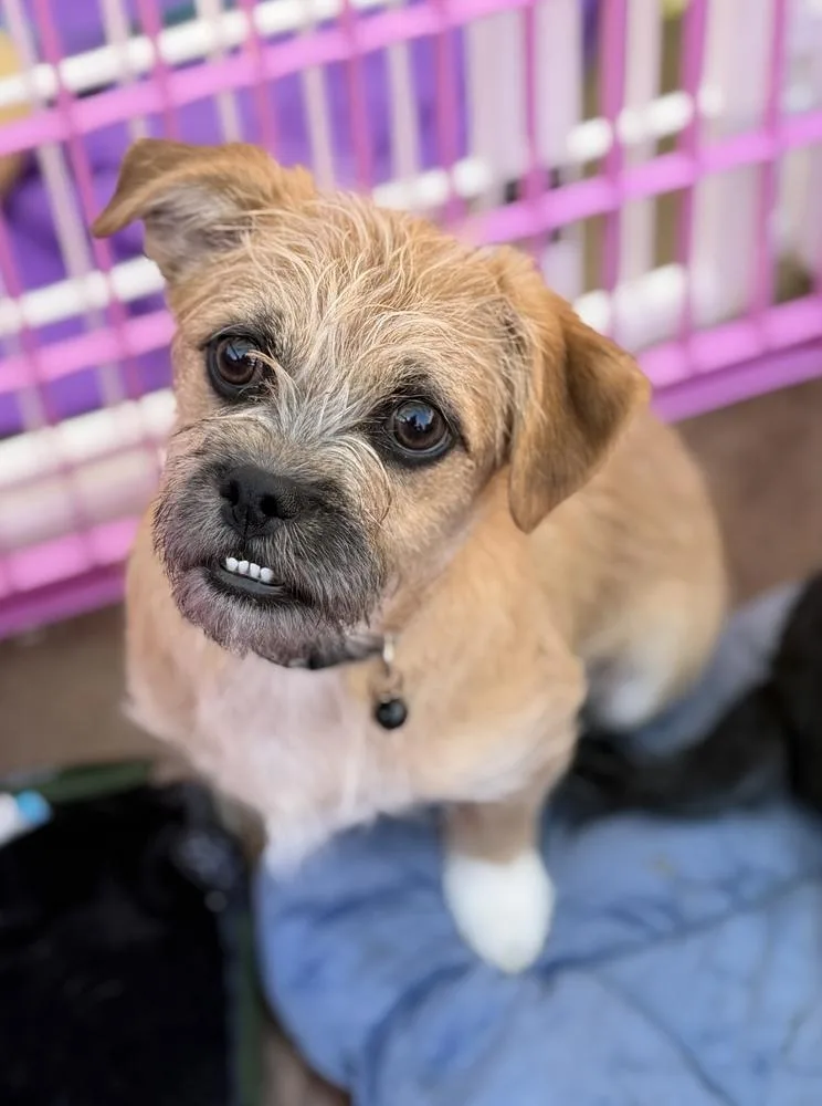 Monterey thumbnail 3