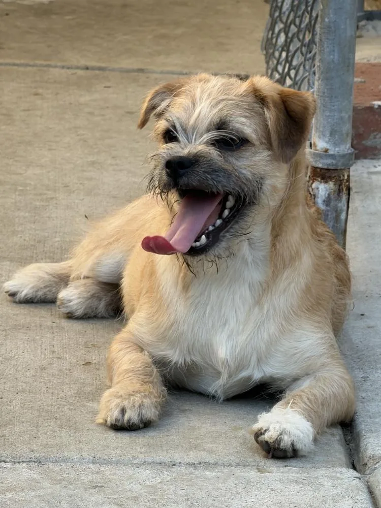 Monterey thumbnail 4