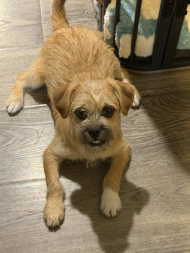 Monterey thumbnail 6