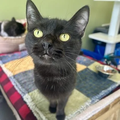 Esther