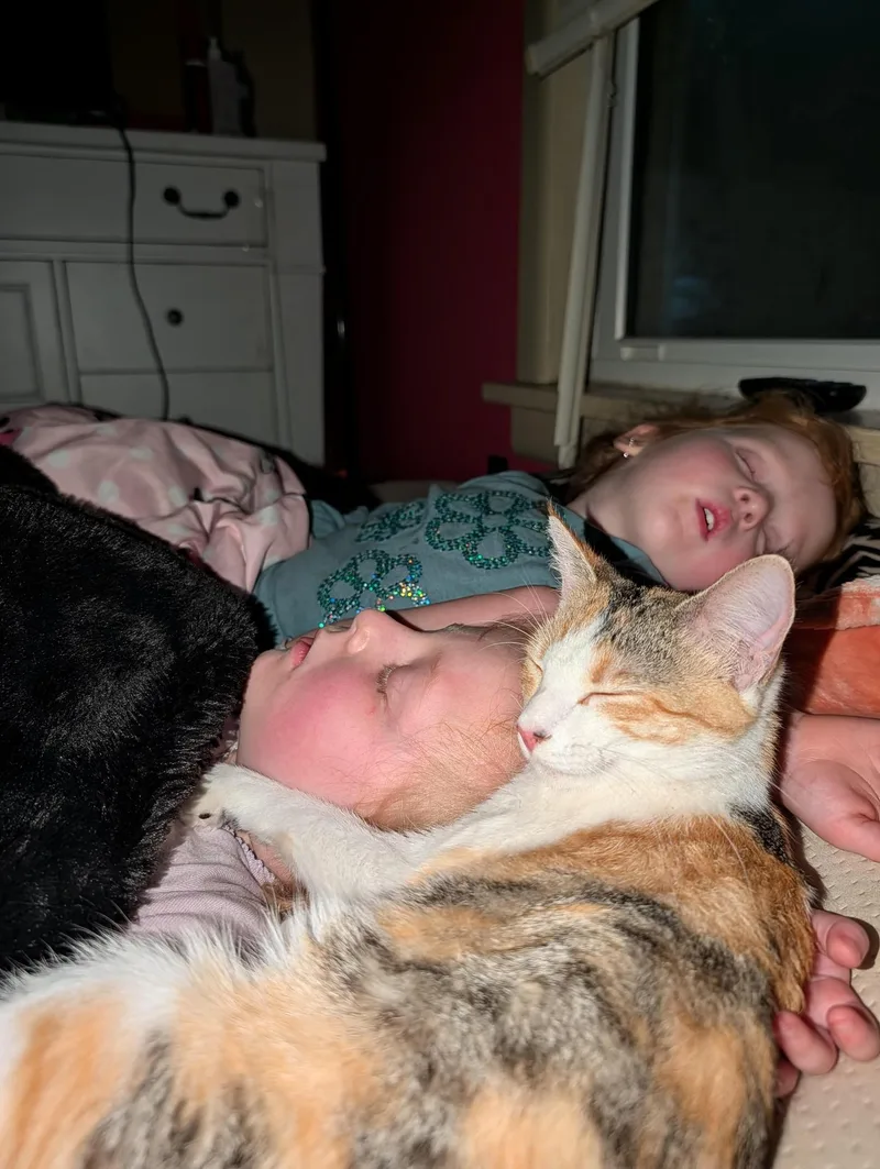 Priscilla thumbnail 2