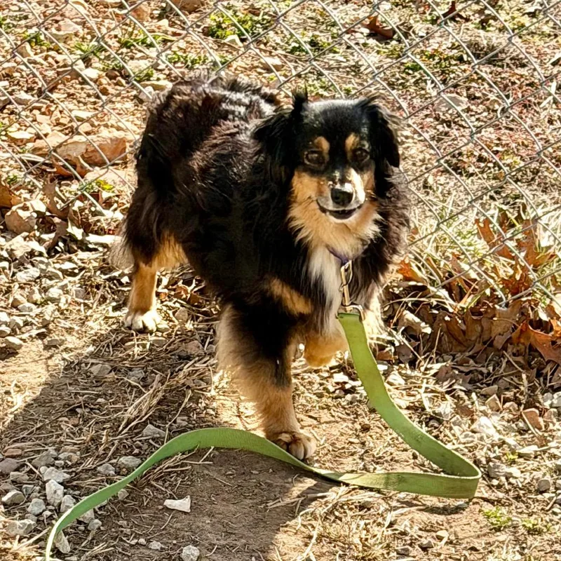 Emmy Lou thumbnail 3