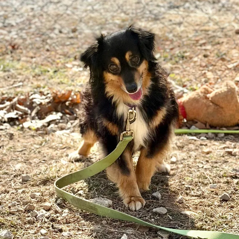 Emmy Lou thumbnail 4