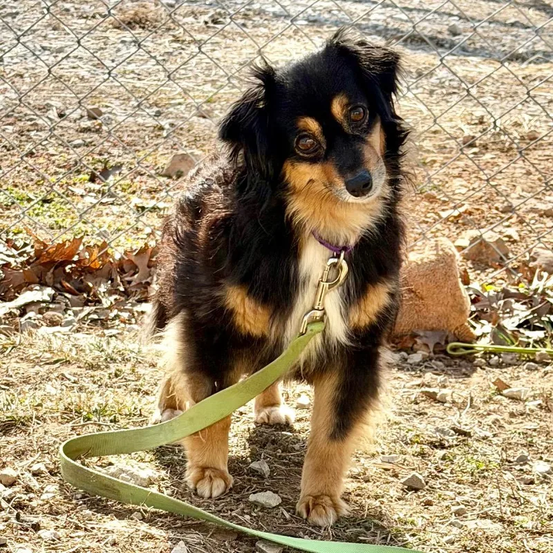 Emmy Lou thumbnail 5