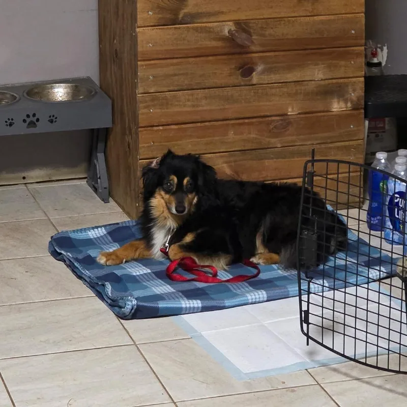 Emmy Lou thumbnail 6