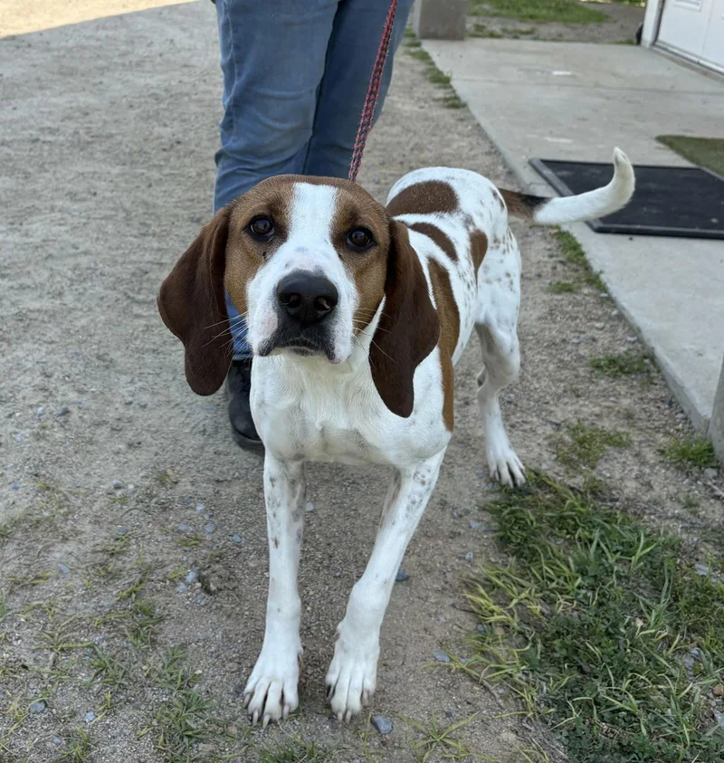 Clementine Dixon thumbnail 2