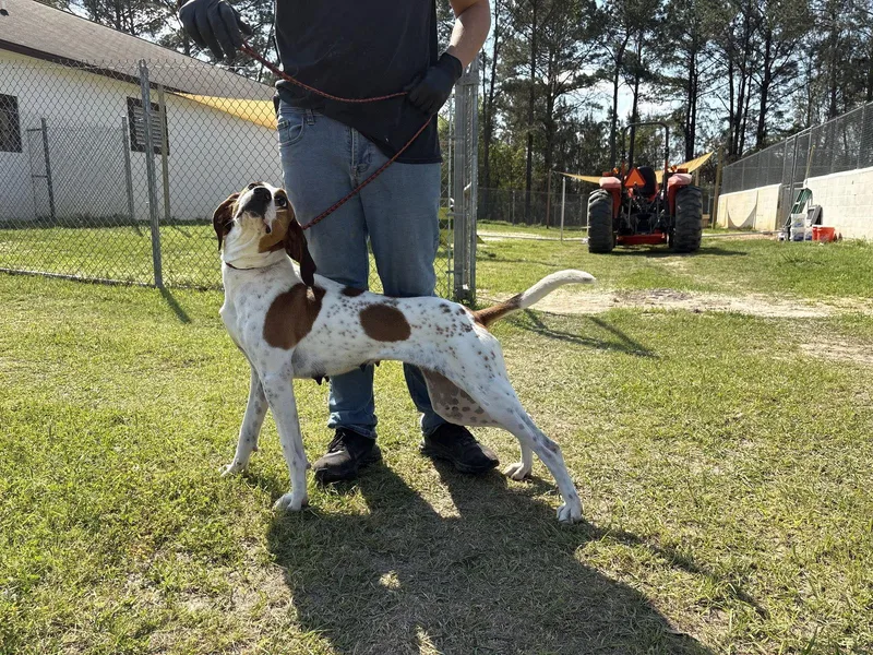 Clementine Dixon thumbnail 3