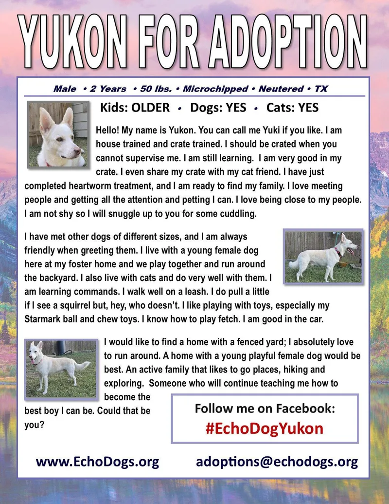Yukon thumbnail 3