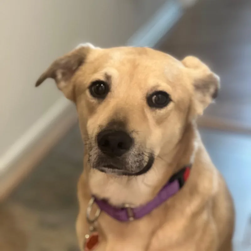 Bailey thumbnail 3
